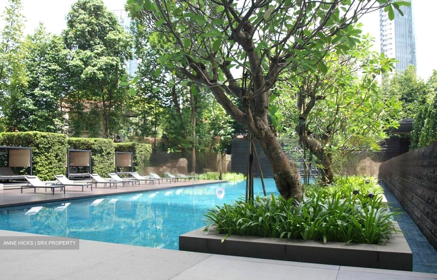 The Marq On Paterson Hill (D9), Condominium #460390151